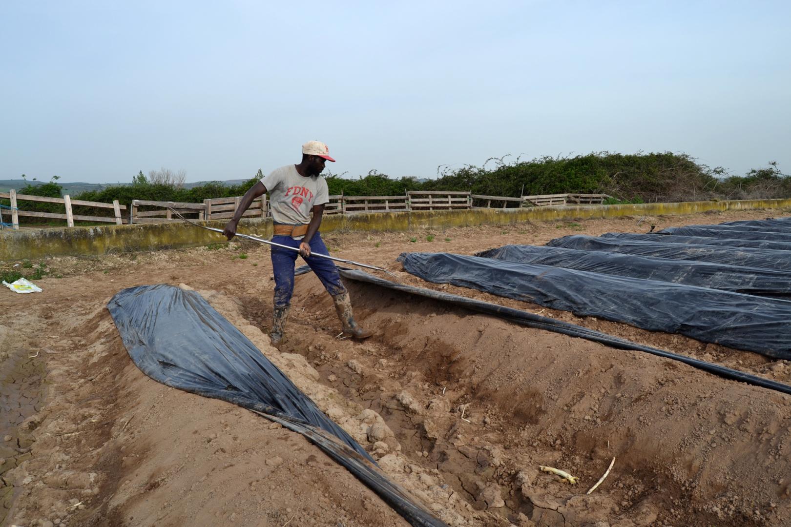 Los peones de campo es una de las ocupaciones con mayor presencia de personas migrantes
