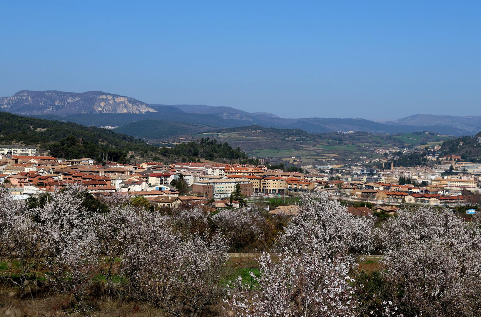 Paisaje de Tierra Estella con el término en primer plano de Ayegui, una de las localidades incluidas en los proyectos de investigación minera.