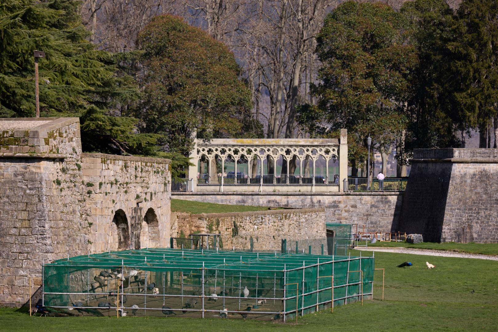 Una de las dos jaulas para confinar las aves instalada en los fosos de la Taconera.