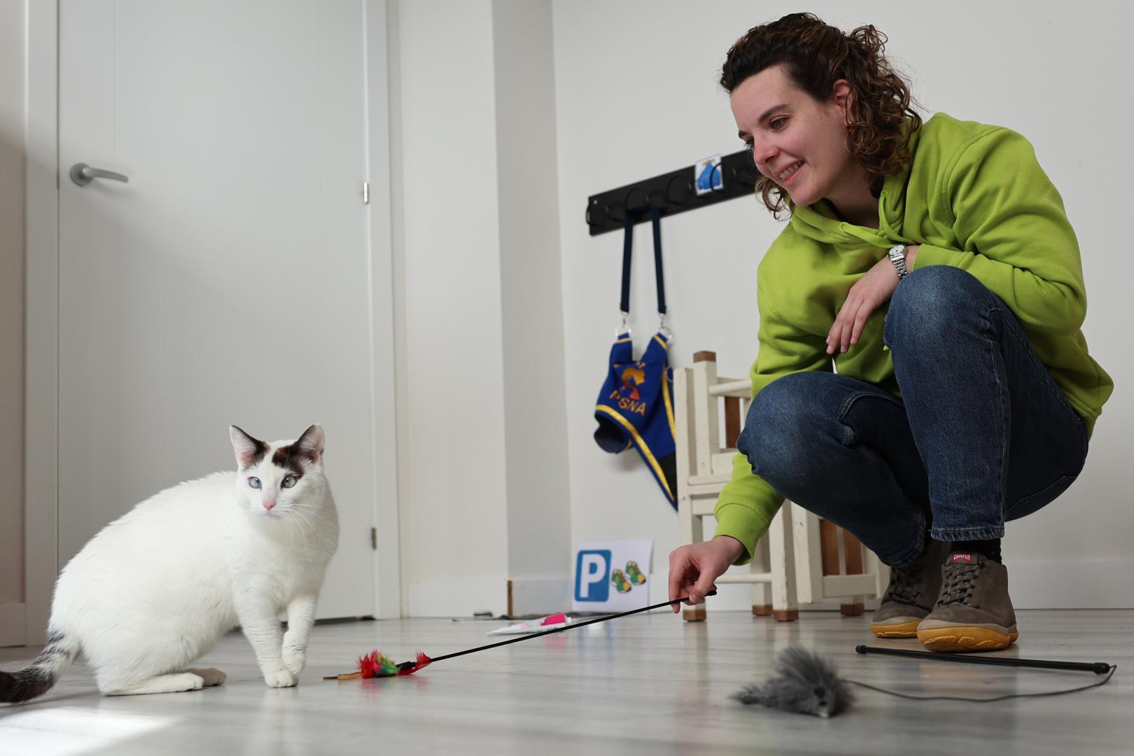 Nerea Gilabert Alzórriz trata de atraer la atención de la gata 'Kanika' con un señuelo.