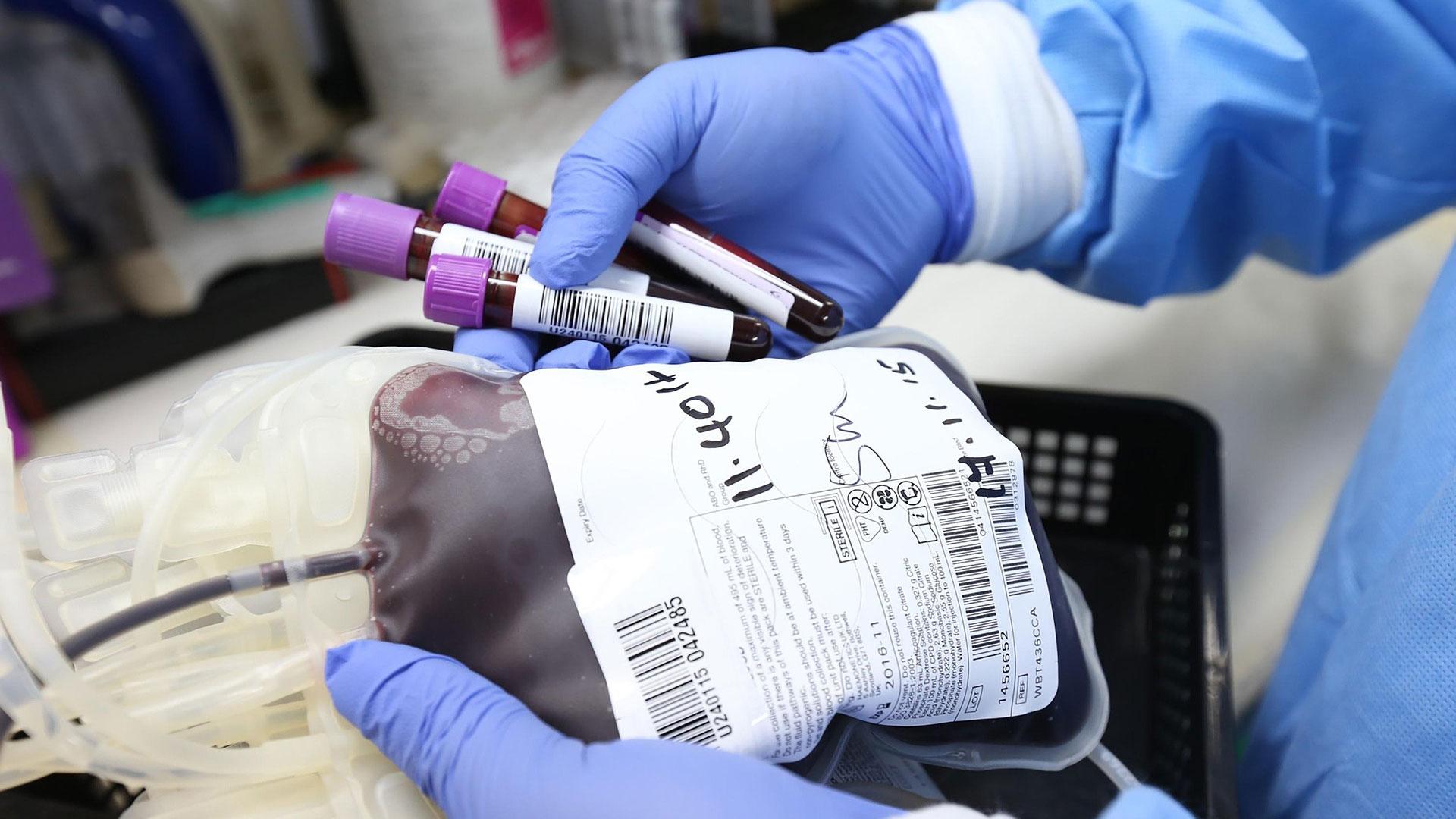 Una bolsa de sangre