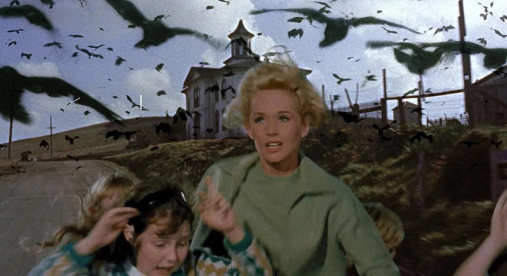 La actriz Tippi Hedren, protagonista de la película 'Los pájaros', de Alfred Hitchcock.