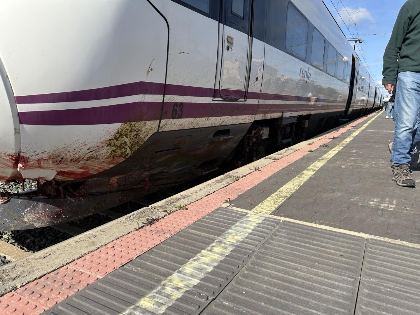 El tren afectado por el atropello a parte de un rebaño, en la estación de Luceni