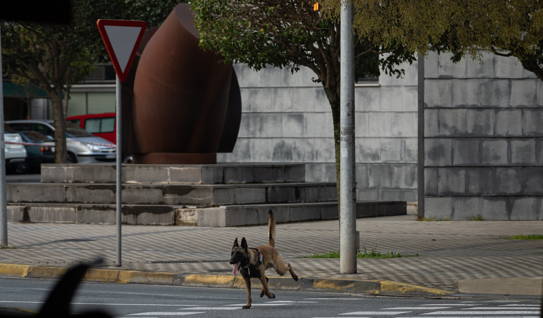 Efectivos policiales de Policía Nacional, Policía Foral y Policía Municipal han trabajado en la zona para comprobar si se trataba o no de una falsa alarma, empleando para ello perros especializados