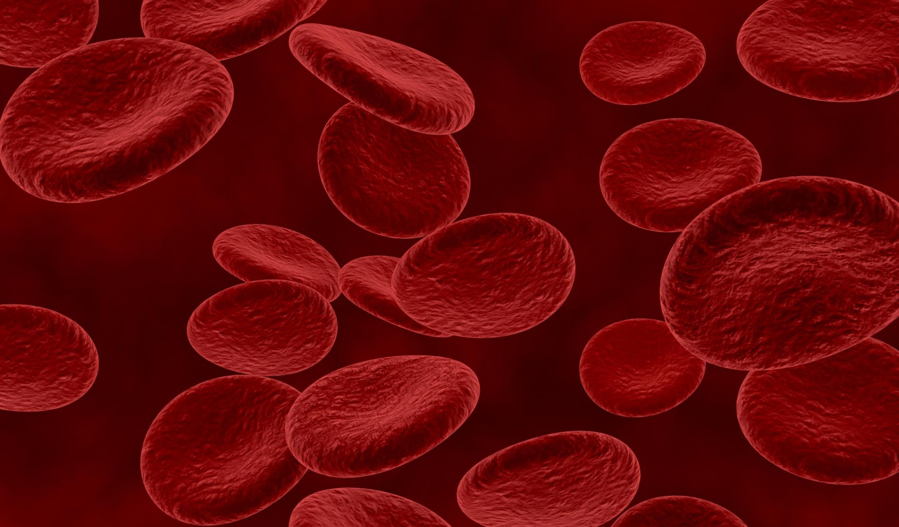 La hemoglobina es una proteína vital presente en los glóbulos rojos y su función principal es transportar oxígeno desde los pulmones a los distintos tejidos del cuerpo