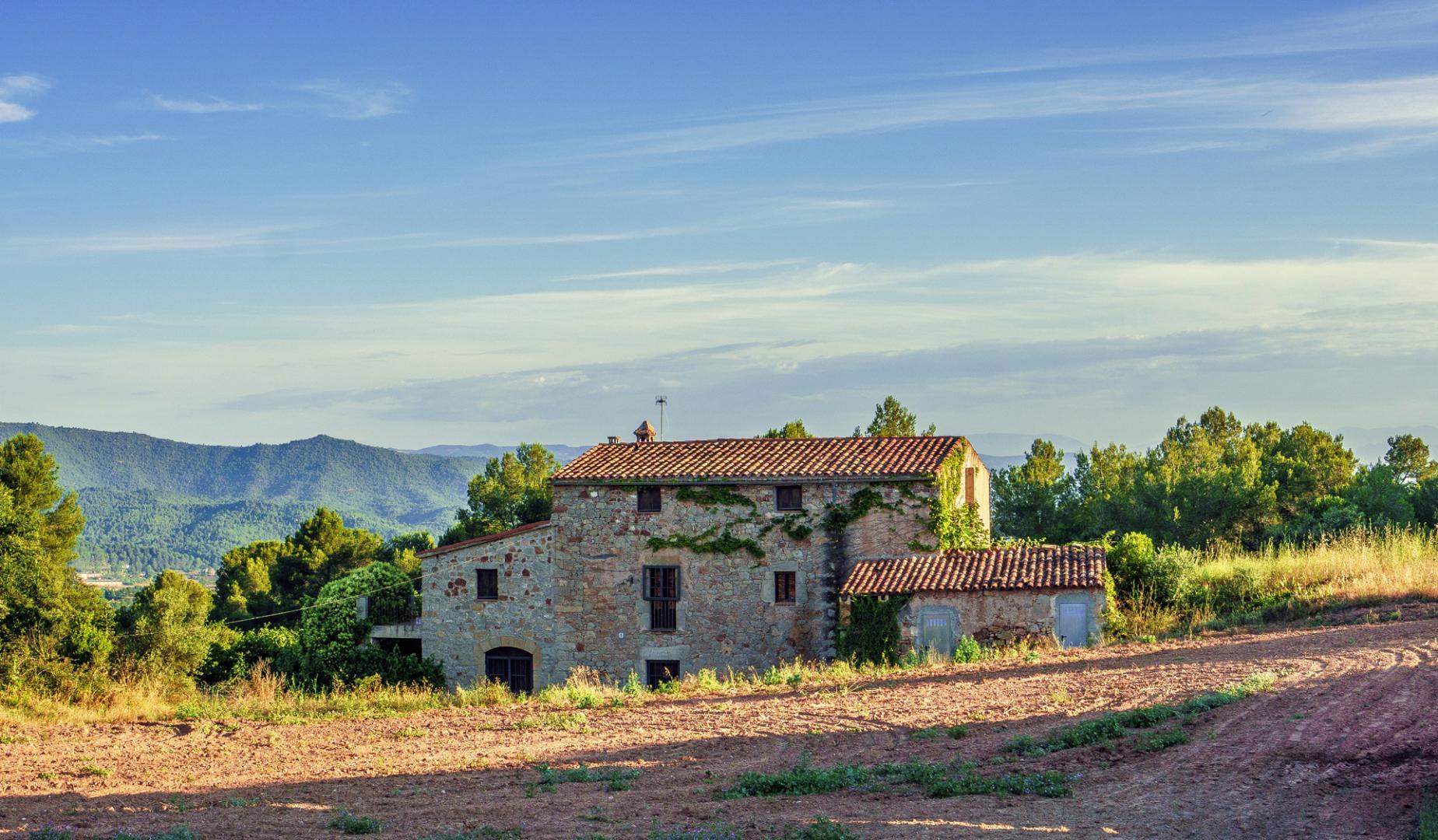 Paisaje rural
