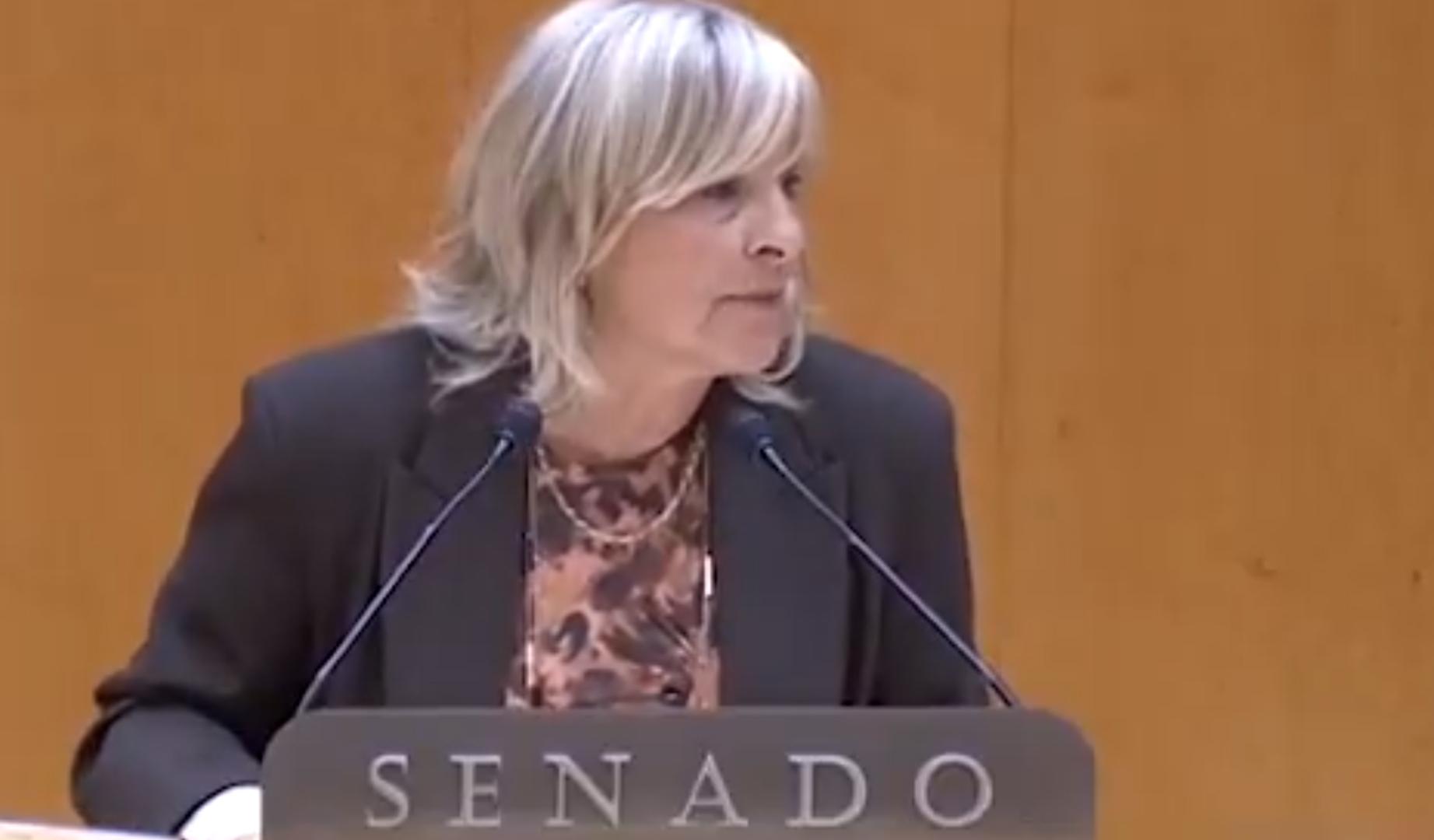 María Caballero, en su intervención este miércoles en el Senado