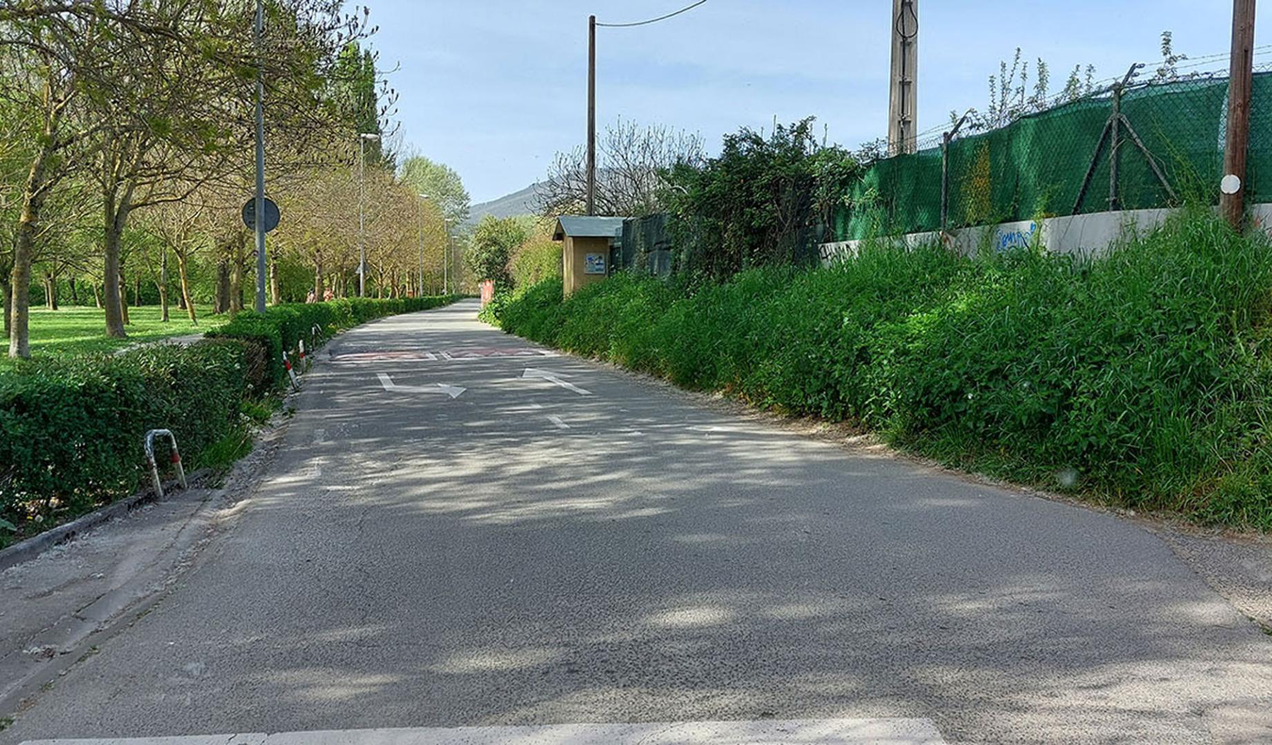 Imagen del camino de Caparroso