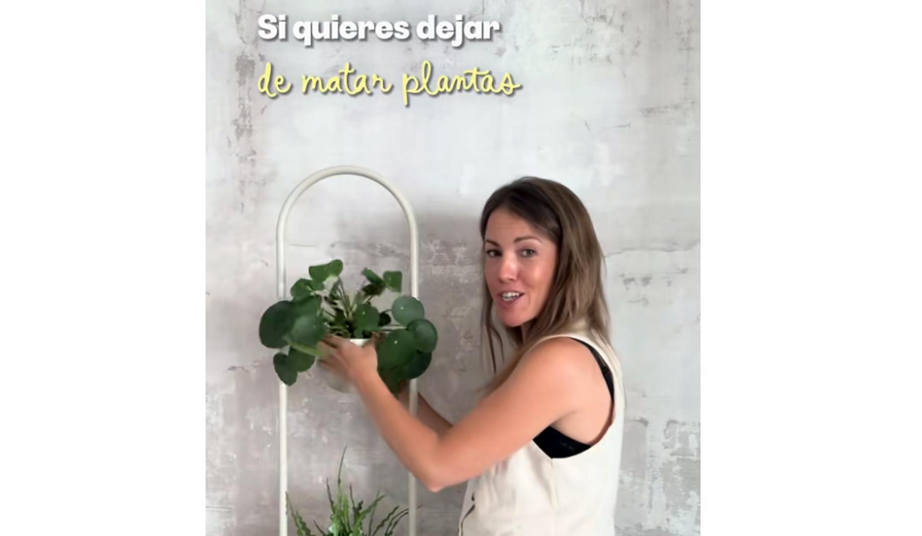 Un consejo fácil y económico para saber cuándo regar las plantas