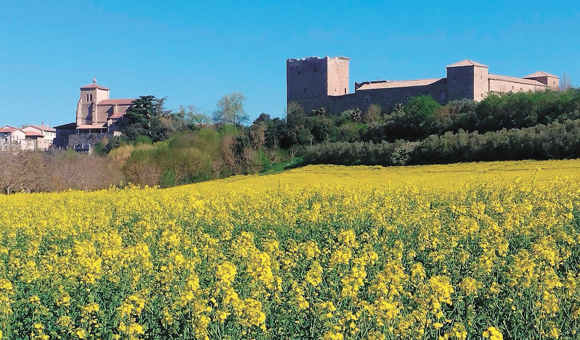 Imagen de un campo de colza. Al fondo, en lo alto, la localidad de Arazuri, con su palacio medieval