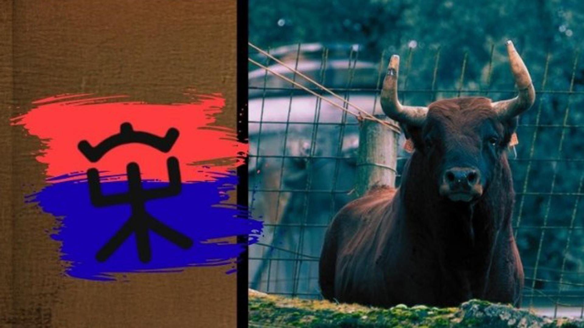 Reta de Casta Navarra