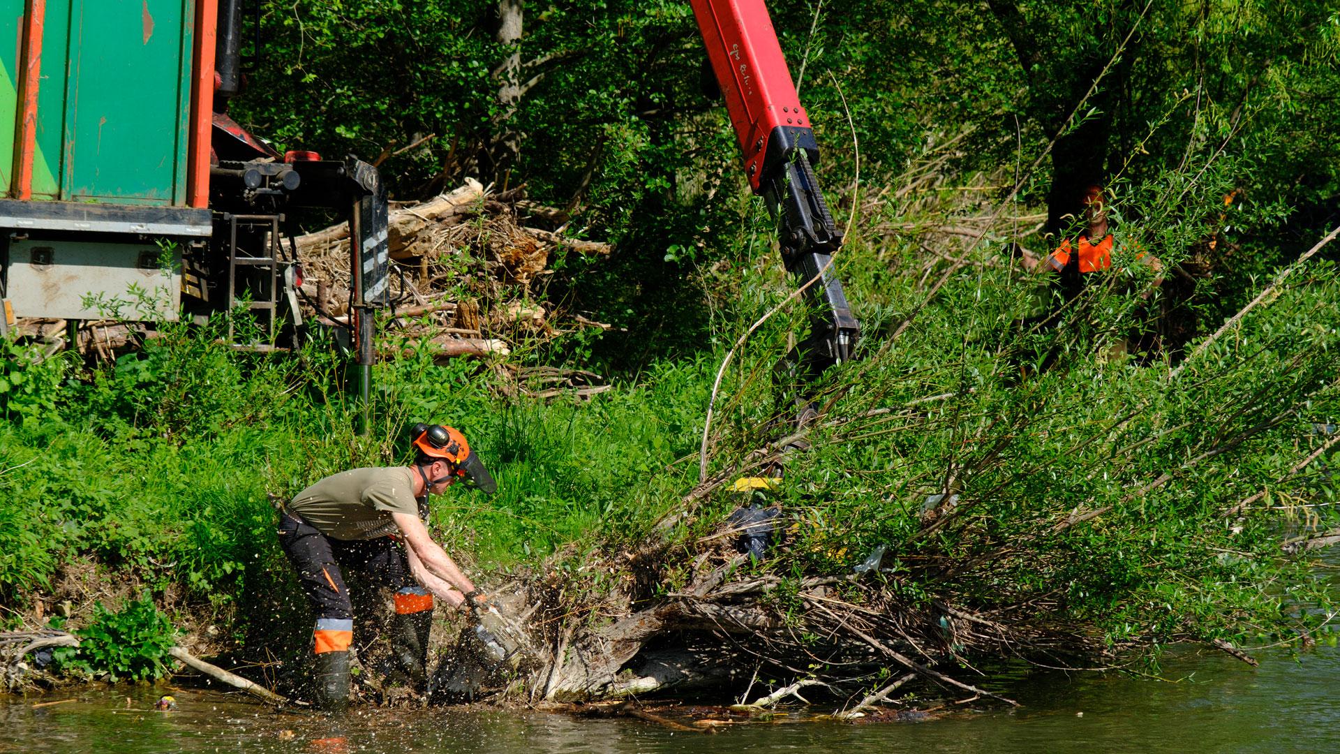Limpieza de las riberas del río Arga en Pamplona