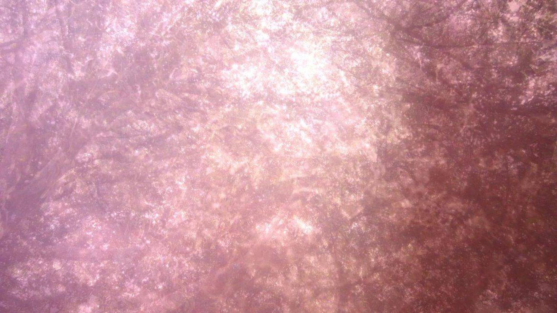 Fotograma de 'Airship 1', del estadounidense Kenneth Anger, incluida en el ciclo