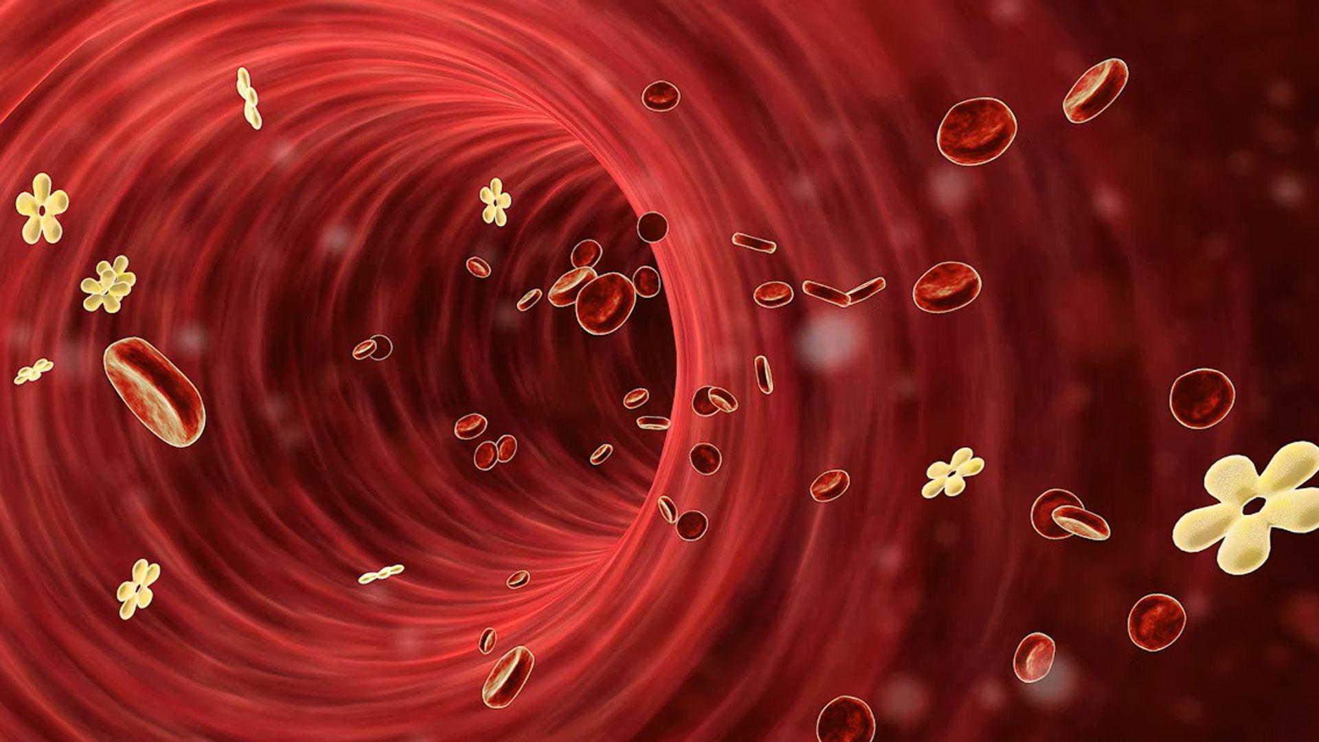 Representación de moléculas de insulina (con forma de flor) y glóbulos rojos en un vaso sanguíneo