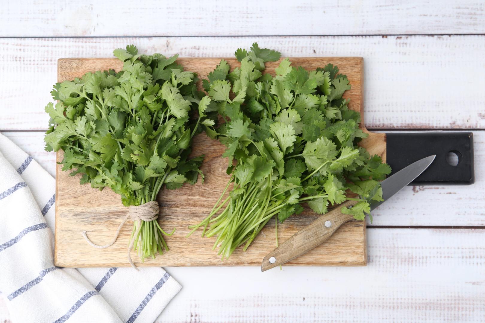 El rechazo al cilantro también tendría una explicación evolutiva según la nutricionista