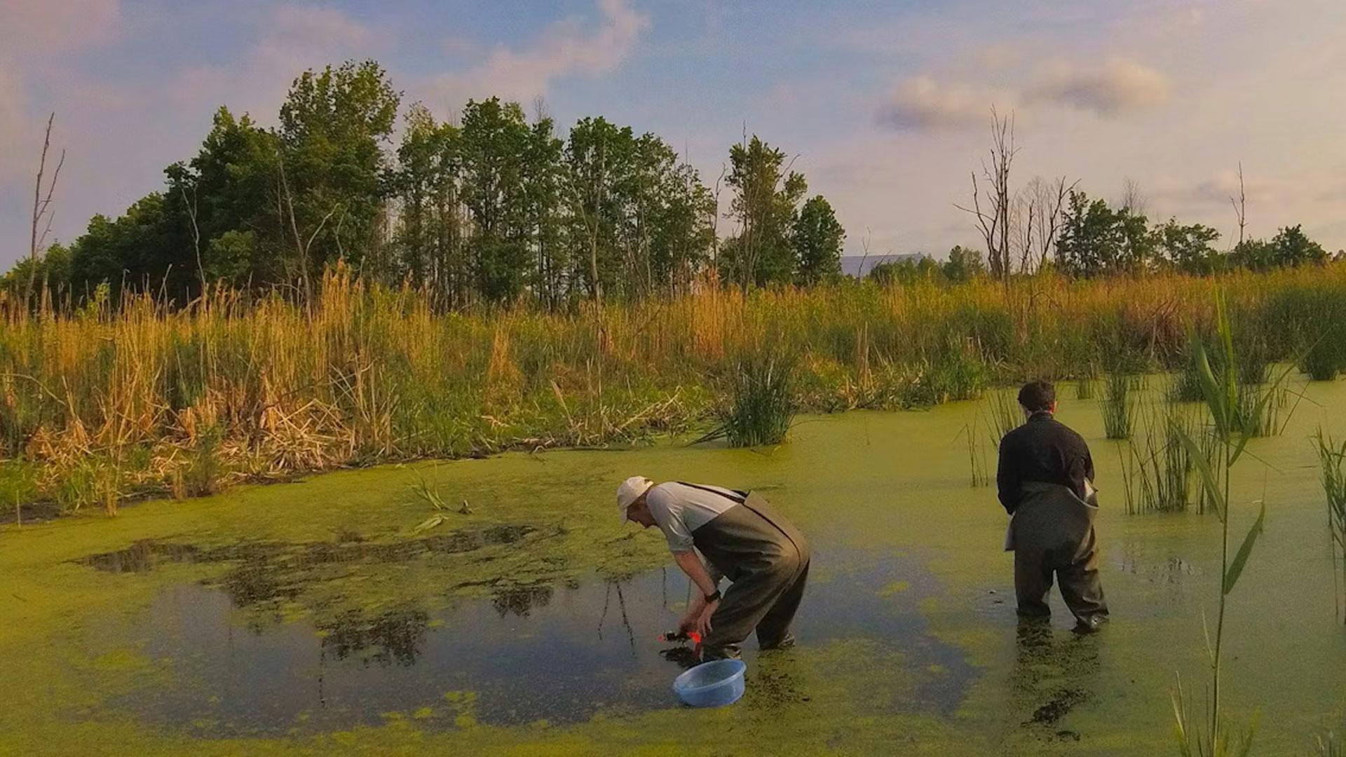 Trabajo de campo en la Zona de Exclusión de Chernóbil (Ucrania), mayo de 2019
