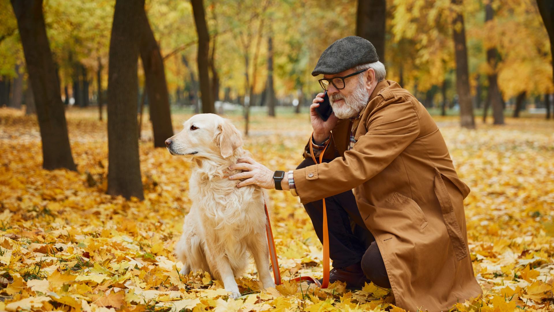 Algunas pólizas incluso contemplan el paseo o cuidado de mascotas, algo especialmente importante para muchas personas mayores que viven solas