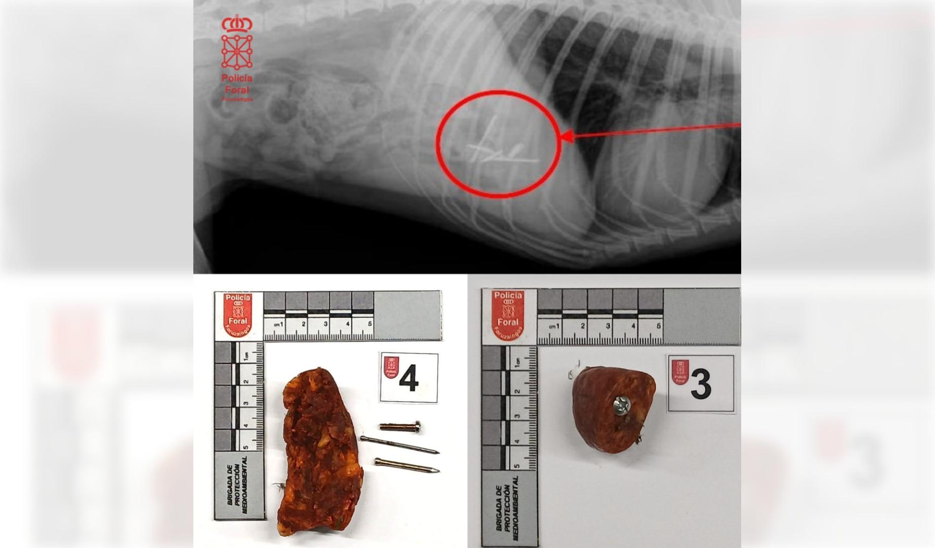 Foto del cebo con los clavos y un tornillo.