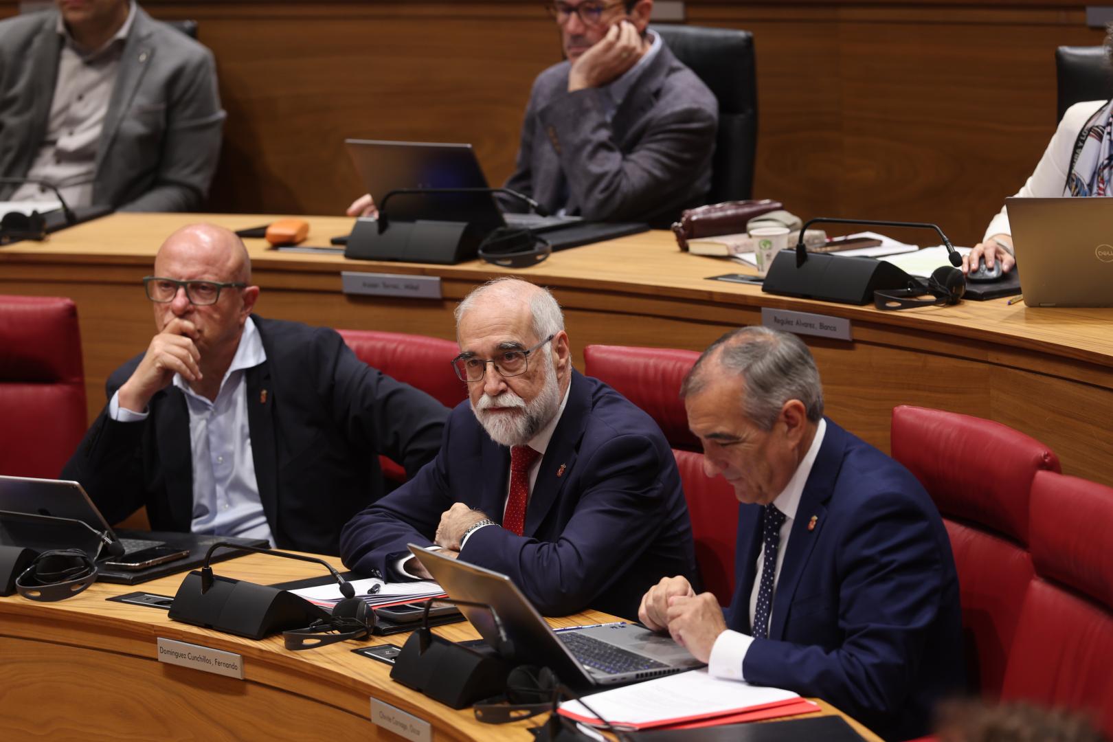 El consejero de Salud, Fernando Domínguez, en el pleno del Parlamento foral
