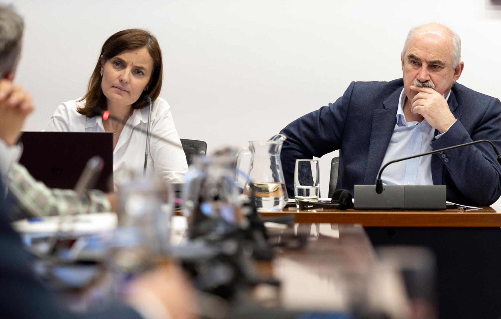 Ana Bretaña, directora general de Medio Ambiente, y el consejero José Mª Aierdi, en una comparecencia en el Parlamento de Navarra.