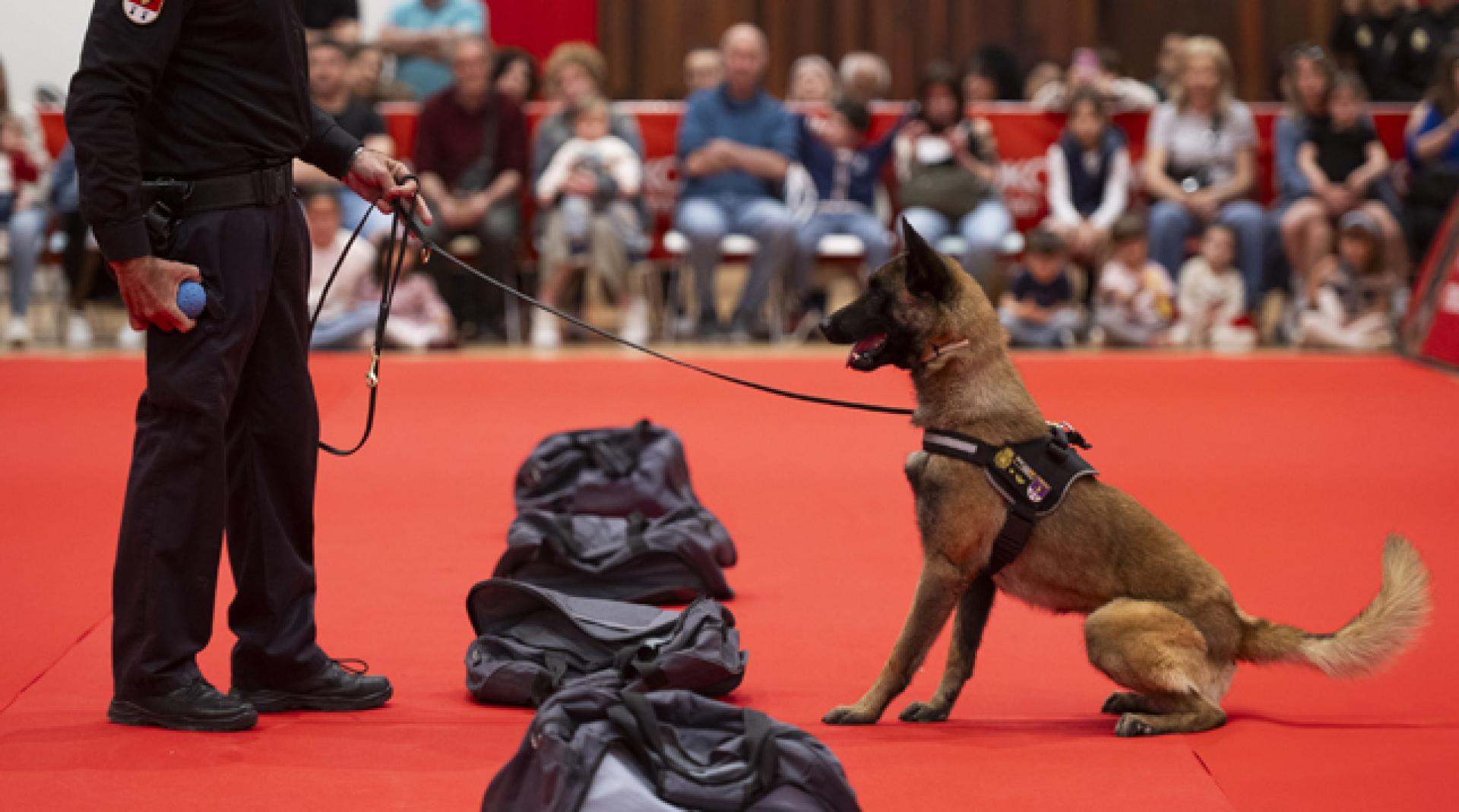 Expofamily volverá a contar una exhibición de perros policía