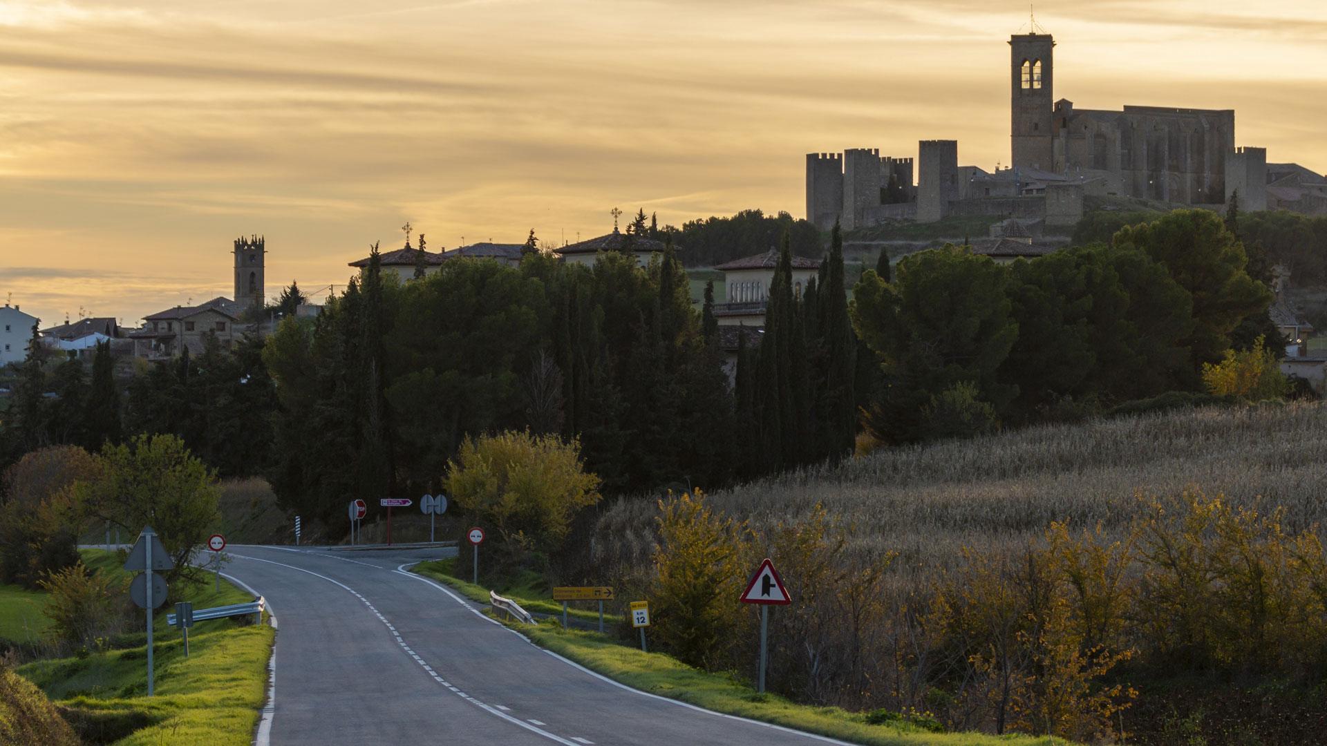 Vista de Artajona, una de las localidades incluidas en las acciones