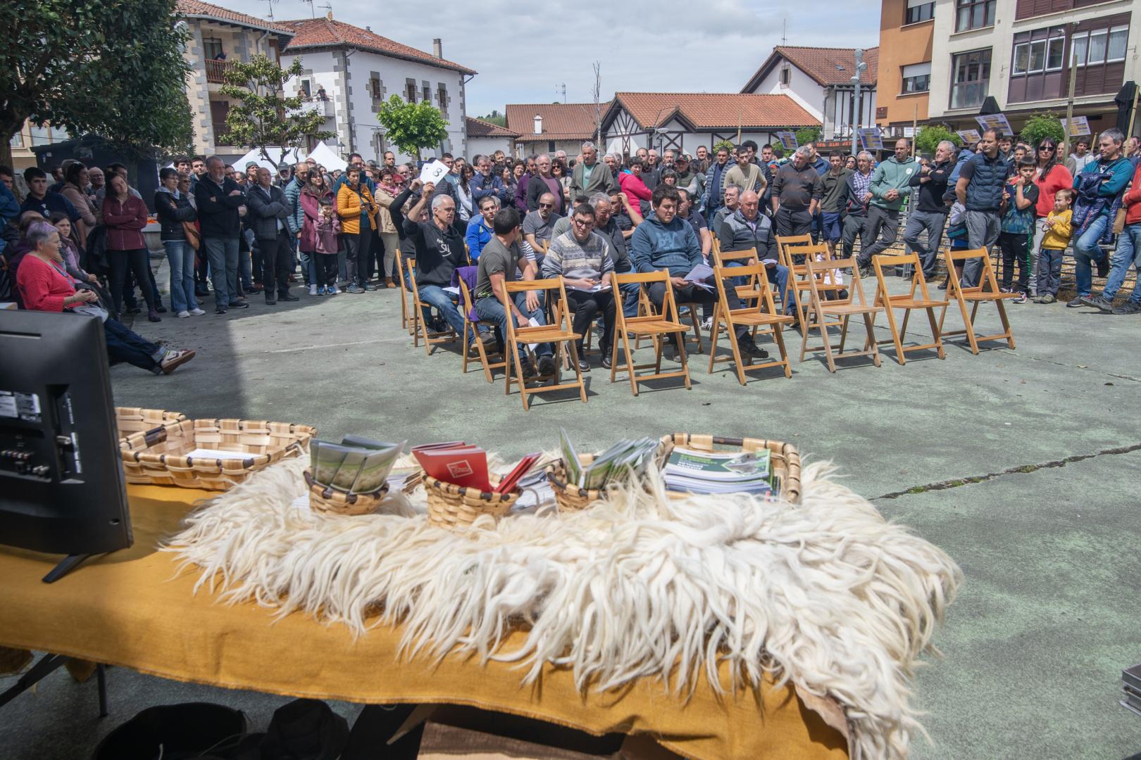 Instante de la subasta de sementales de raza latxa, celebrada en la plaza de Lekunberri.