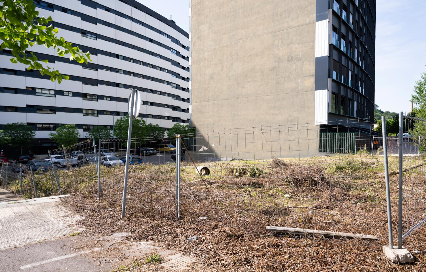 Imagen del solar de la calle Pau que ha generado las quejas de los vecinos