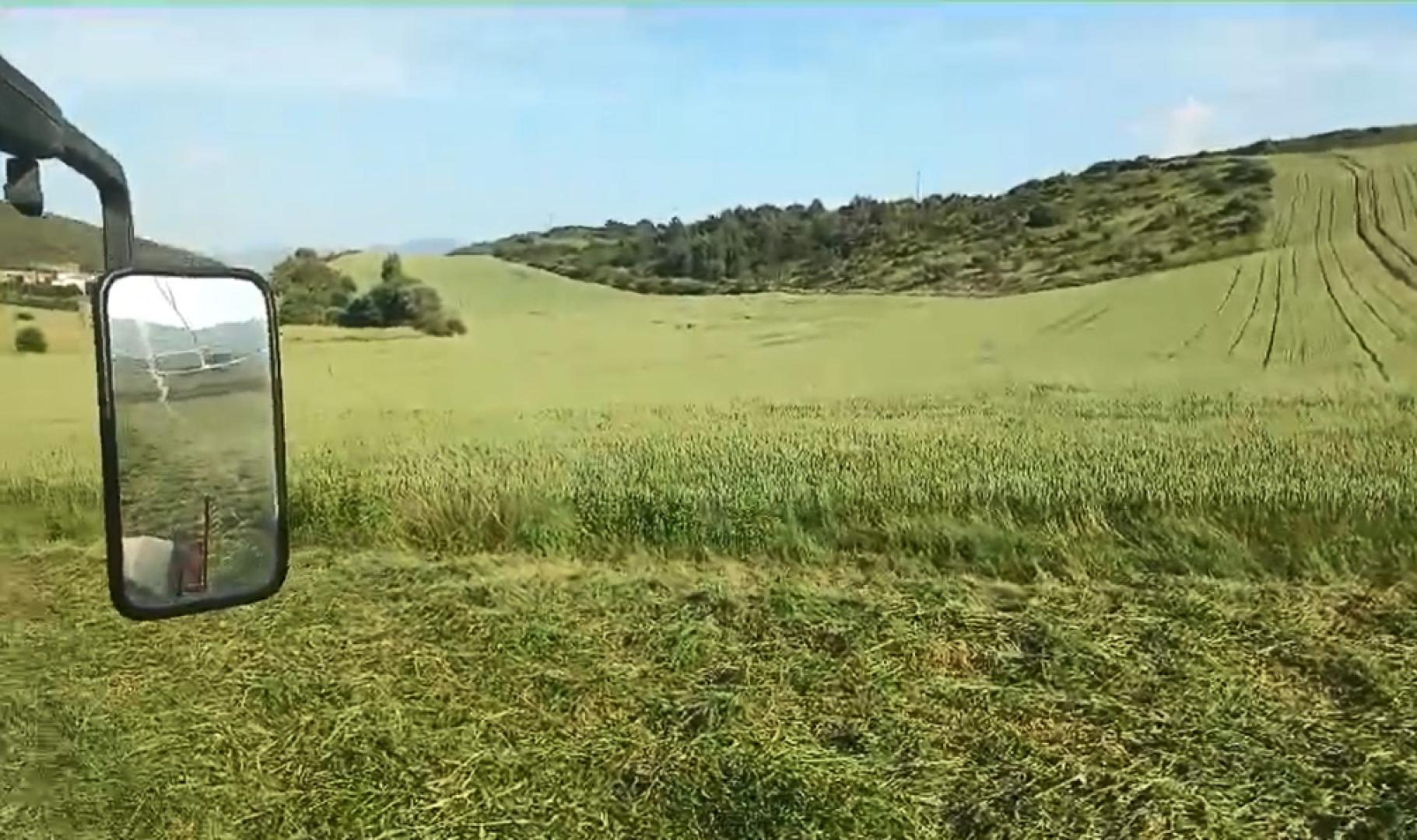 Esta ola de calor impropia de mayo no beneficia a la cosecha, cuenta en un vídeo que se ha grabado desde su tractor y donde muestra las tareas que realiza estos días
