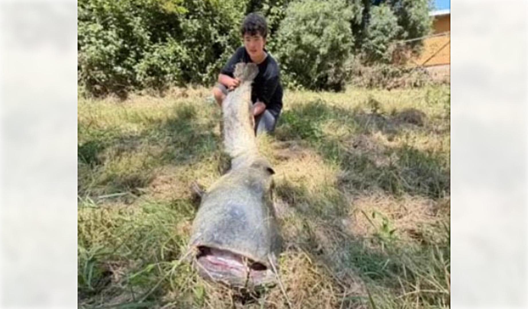 Leo Alonso posa con el ejemplar de siluro