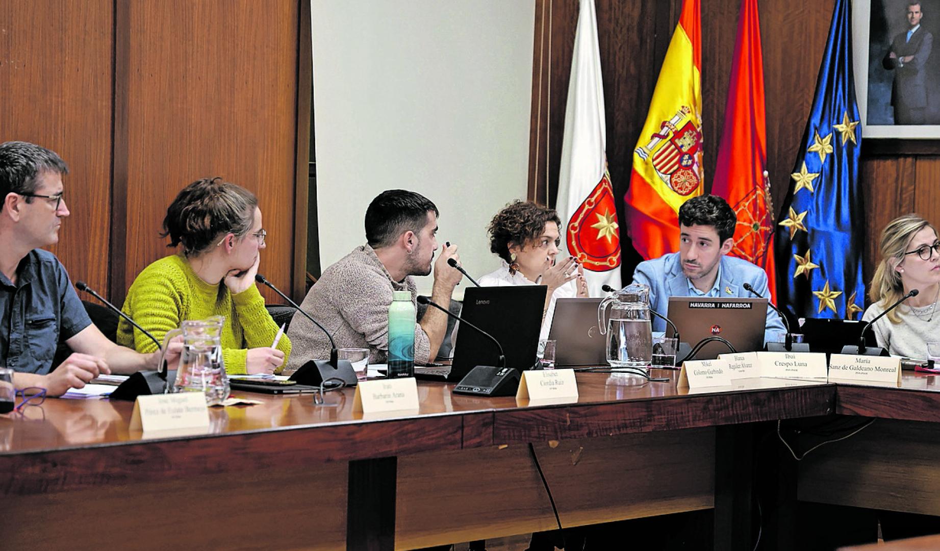 Concejales de EH Bildu, Geroa Bai y PSN en un pleno del Ayuntamiento de Estella