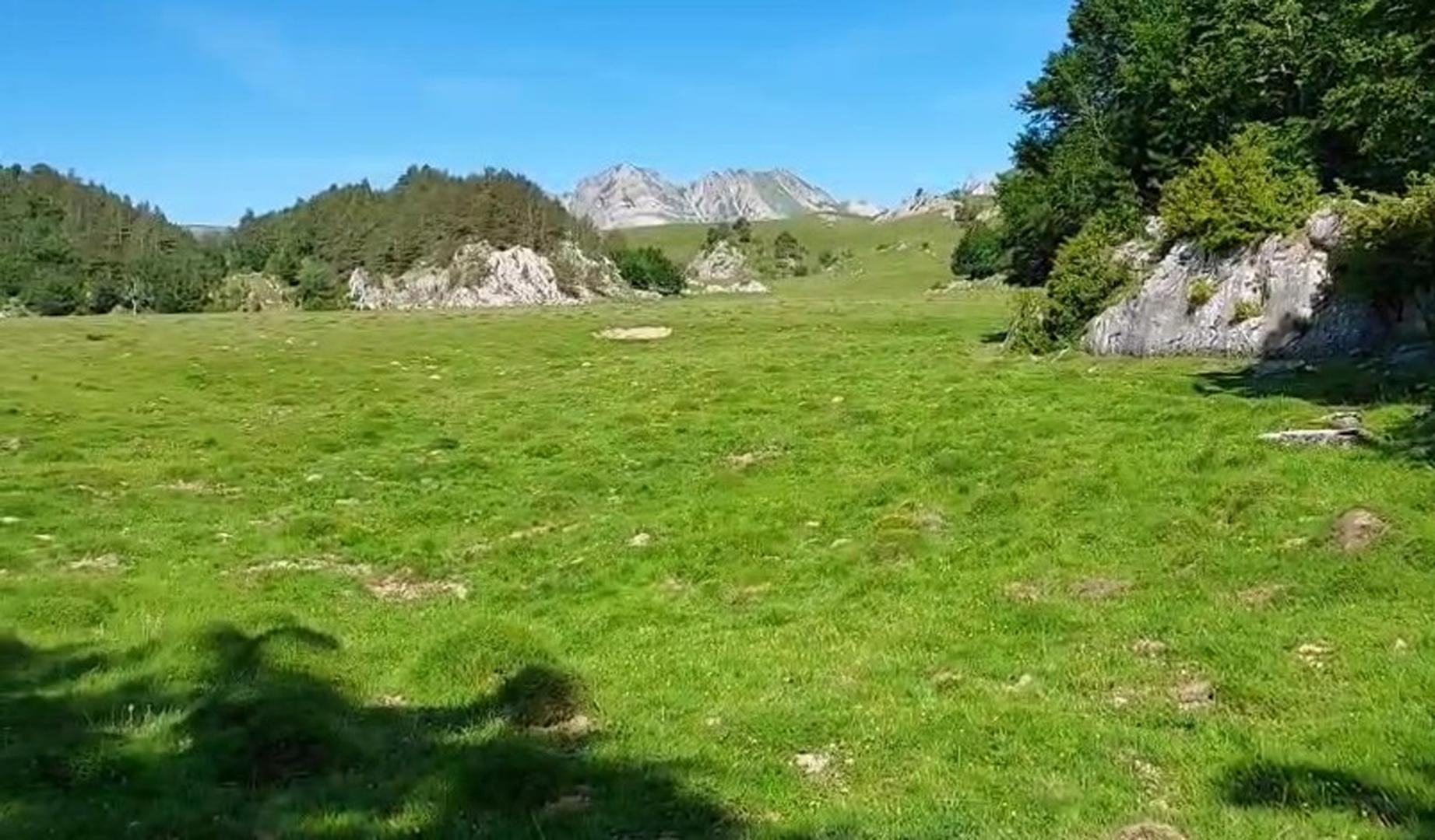 Vídeo del lugar donde han sido hallados restos humanos en un bosque próximo al refugio de Belagua