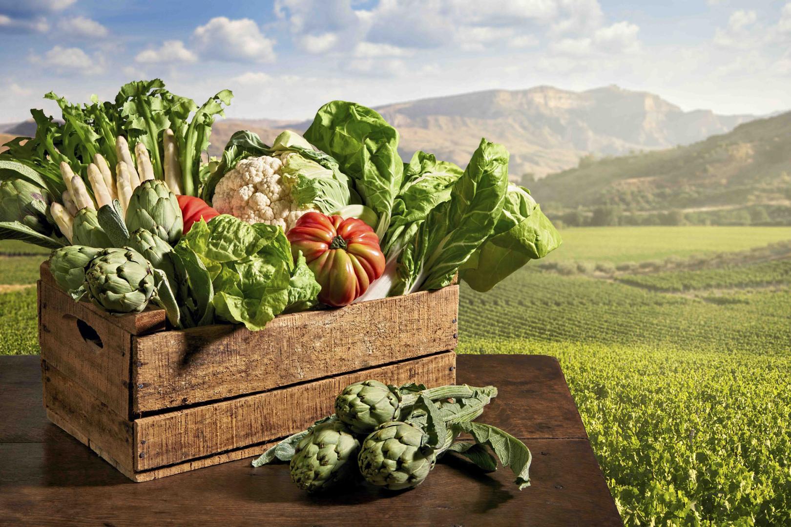 verduras