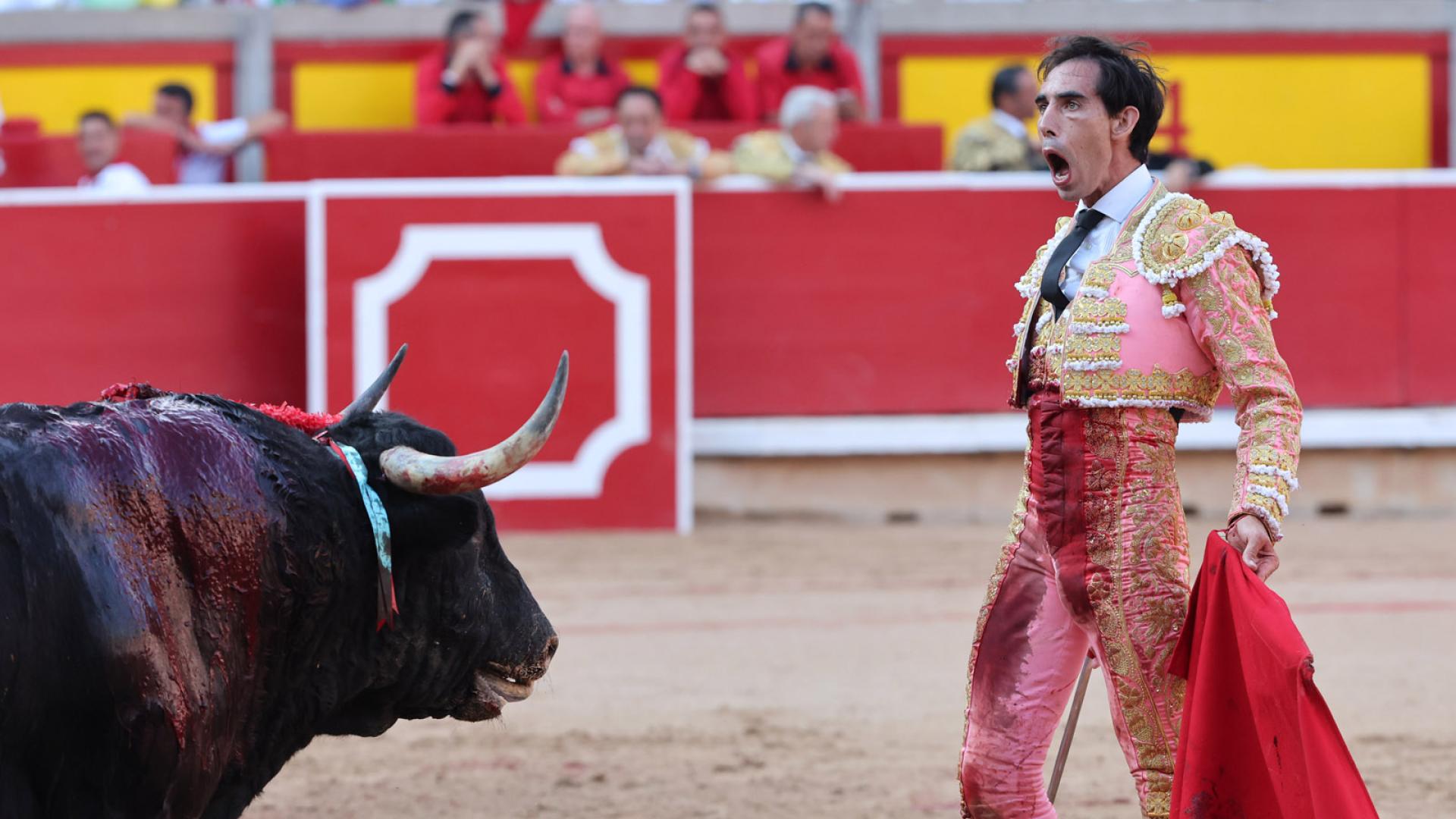 Toros
