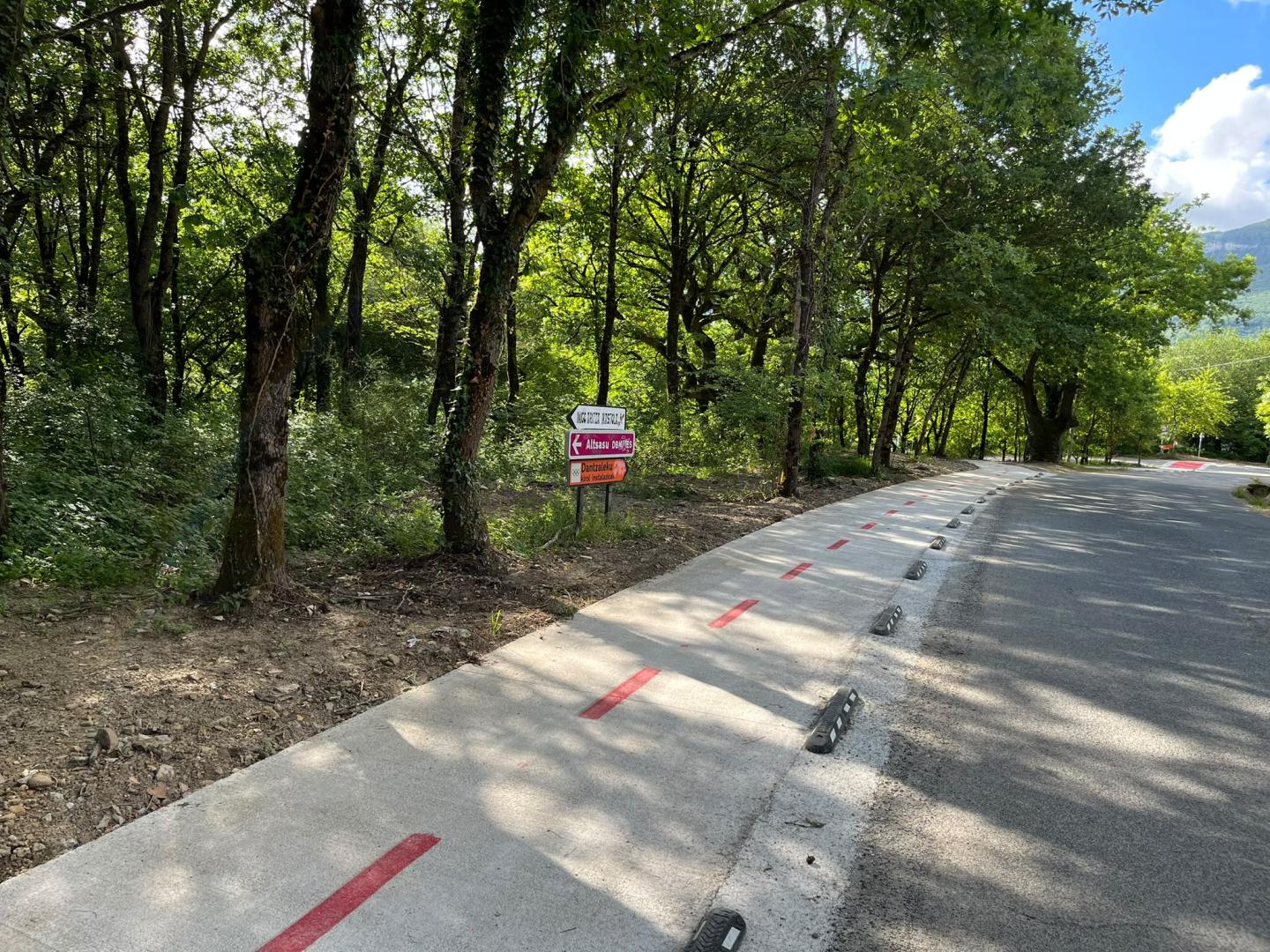 Detalle del carril bici que une el centro urbano de Alsasua con Dantzaleku.