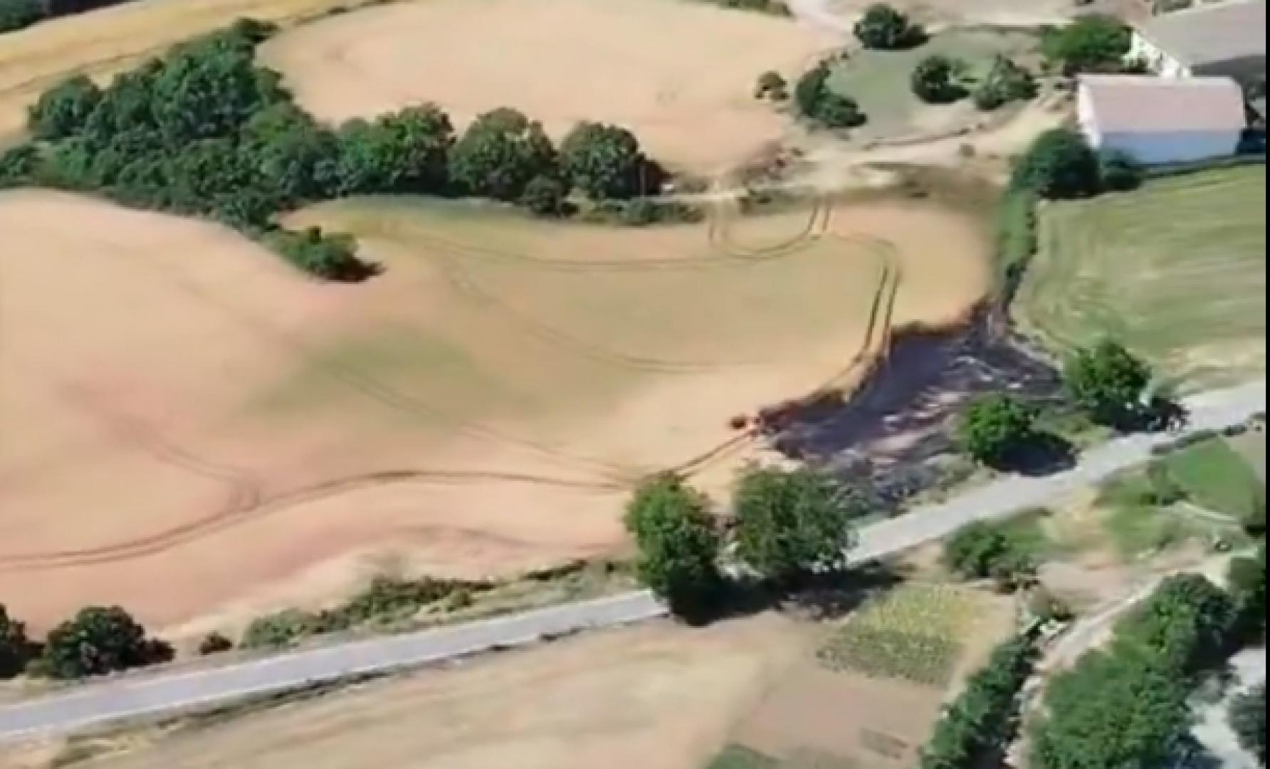 Campo de cereal que ha ardido en Goñi