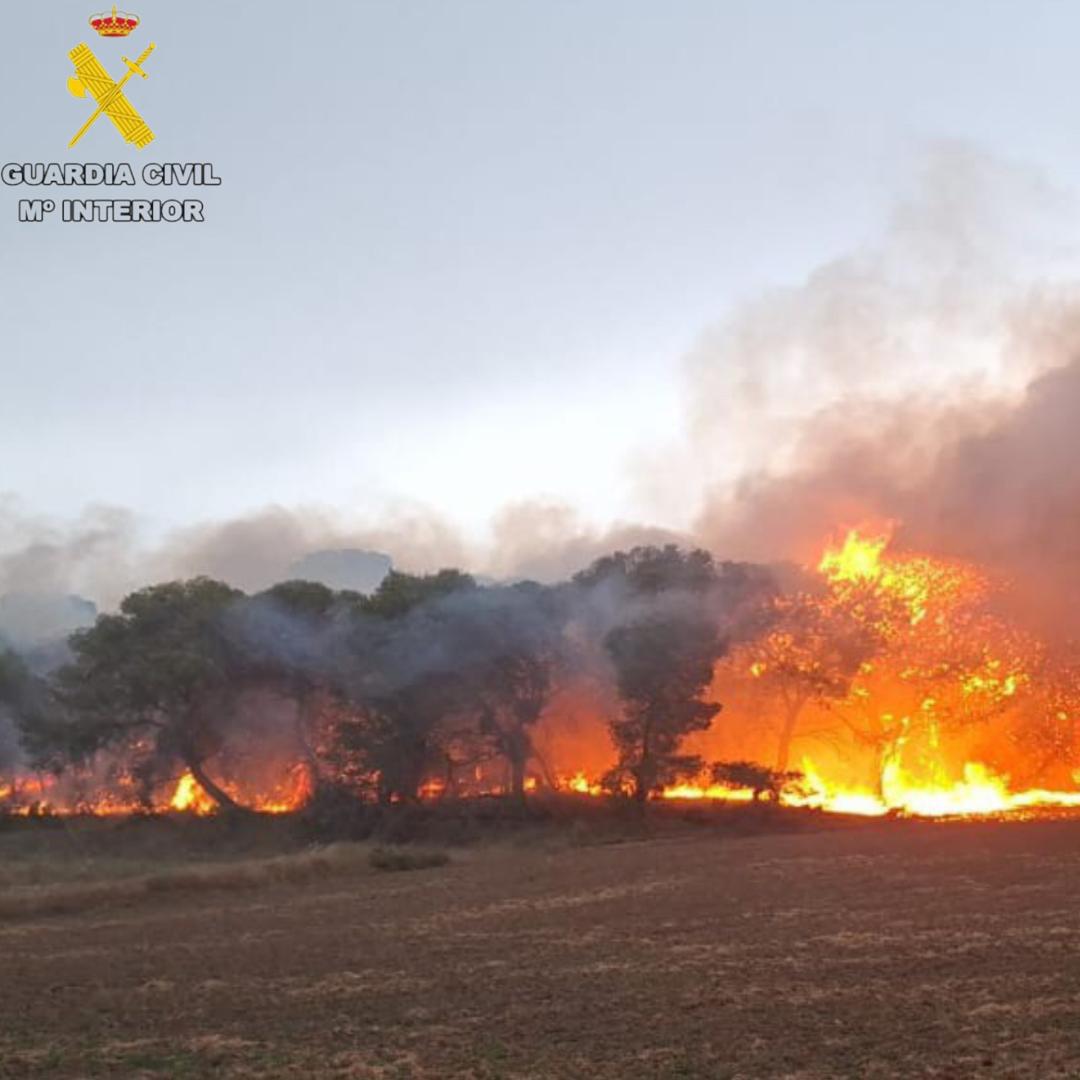 El incendio comenzó en torno a las 20:30 horas del viernes
