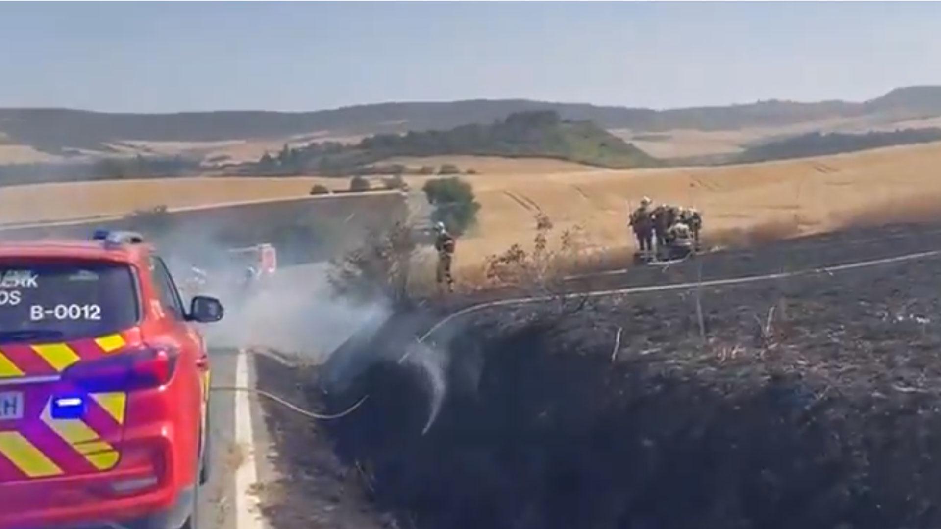 Labores de extinción de un incendio declarado en un campo de cereal sin cosechar que afecta a un pinar en Paternáin