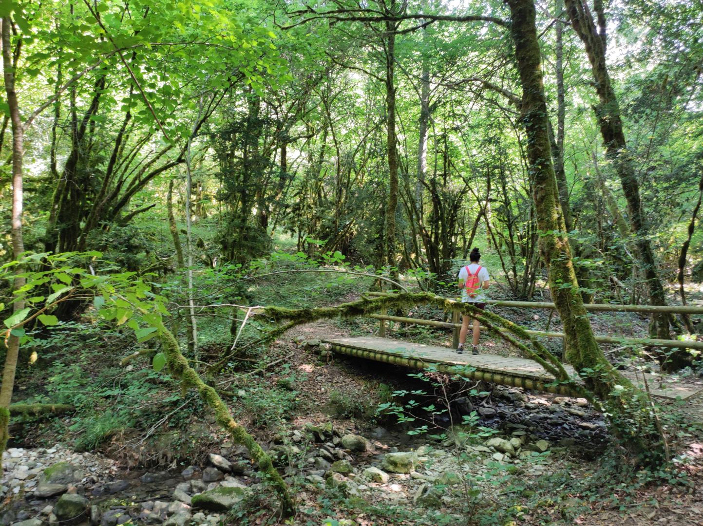 Cualquier estación es ideal para emprender esta espectacular ruta a la cascada de Orkatua