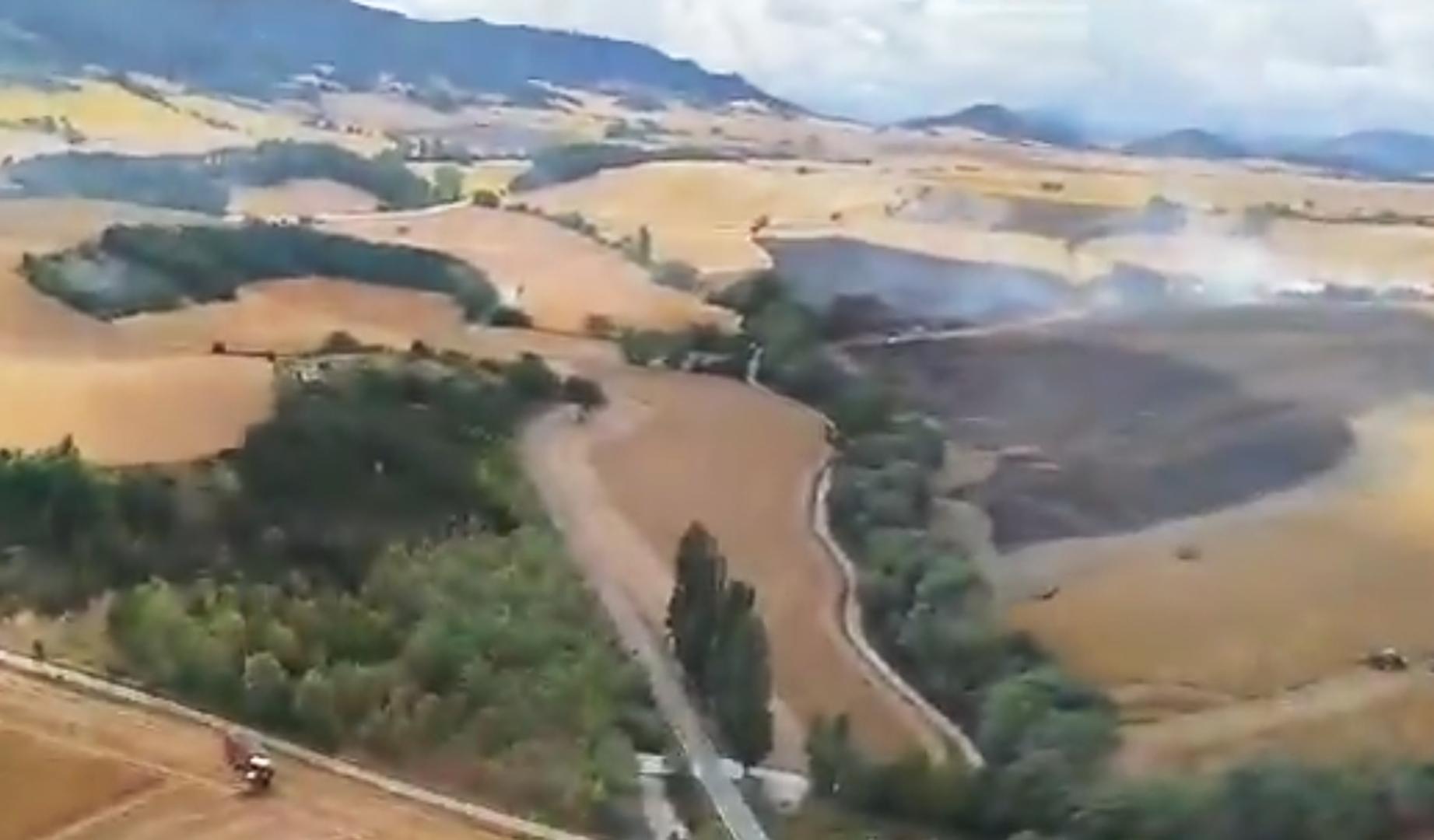 Parte de los campos de cereal afectados por el fuego en Lizoain