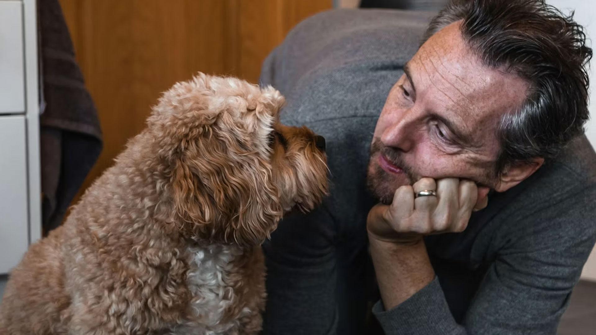 Los perros son capaces de percibir nuestro estado de ánimo con gran precisión