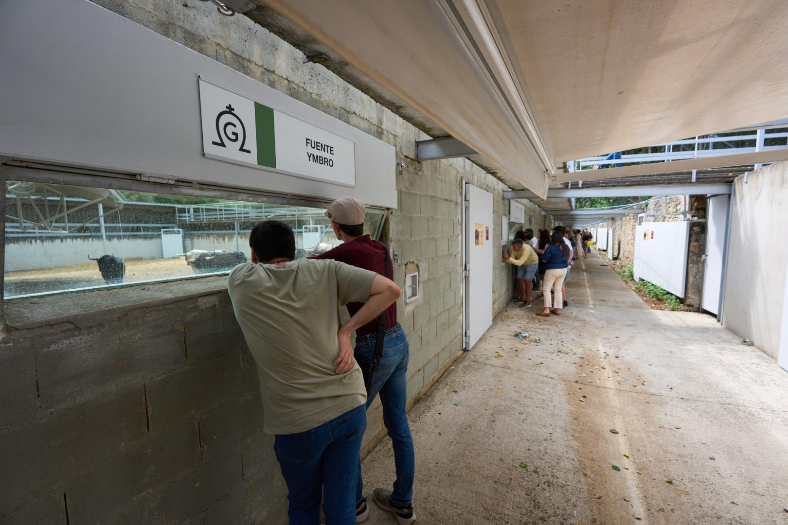 Los Corrales del Gas abrieron sus puertas a las visitas del público el 1 de julio
