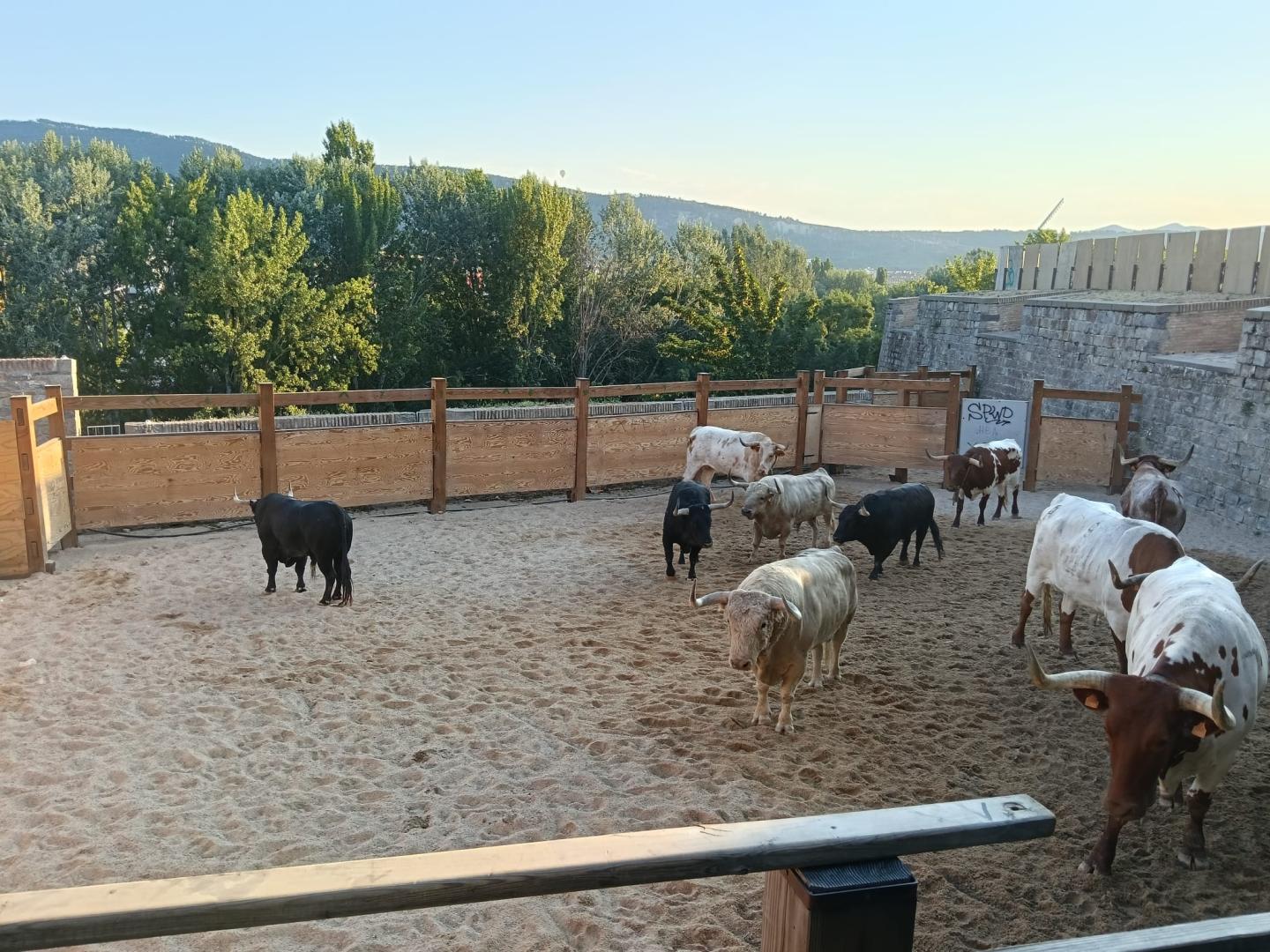 Silencio en los corrales con los Fuente Ymbro