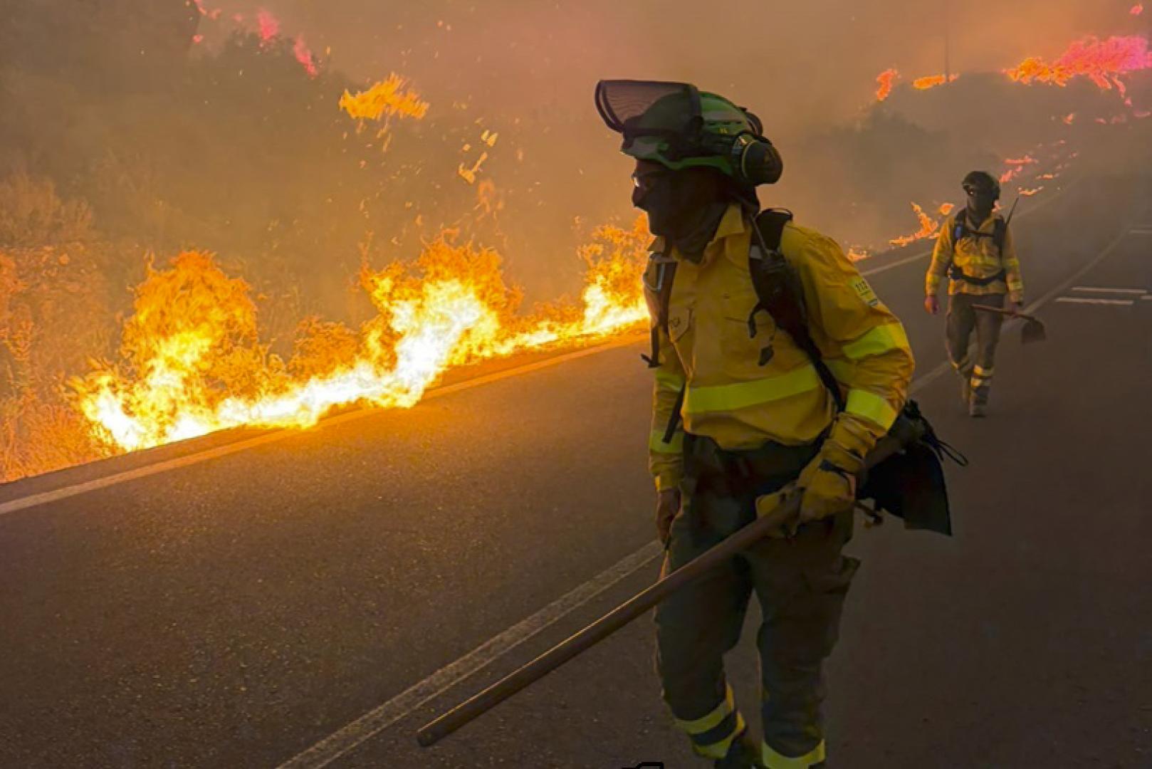 Bomberos trabajan en el incendio en el que 12 personas han muerto en el municipio almeriense de Los Gallardos, en concreto en una pedanía del municipio vecino de Bédar, habiendo sido halladas algunas de las víctimas en el interior de vehículos que fueron alcanzados por las llamas.