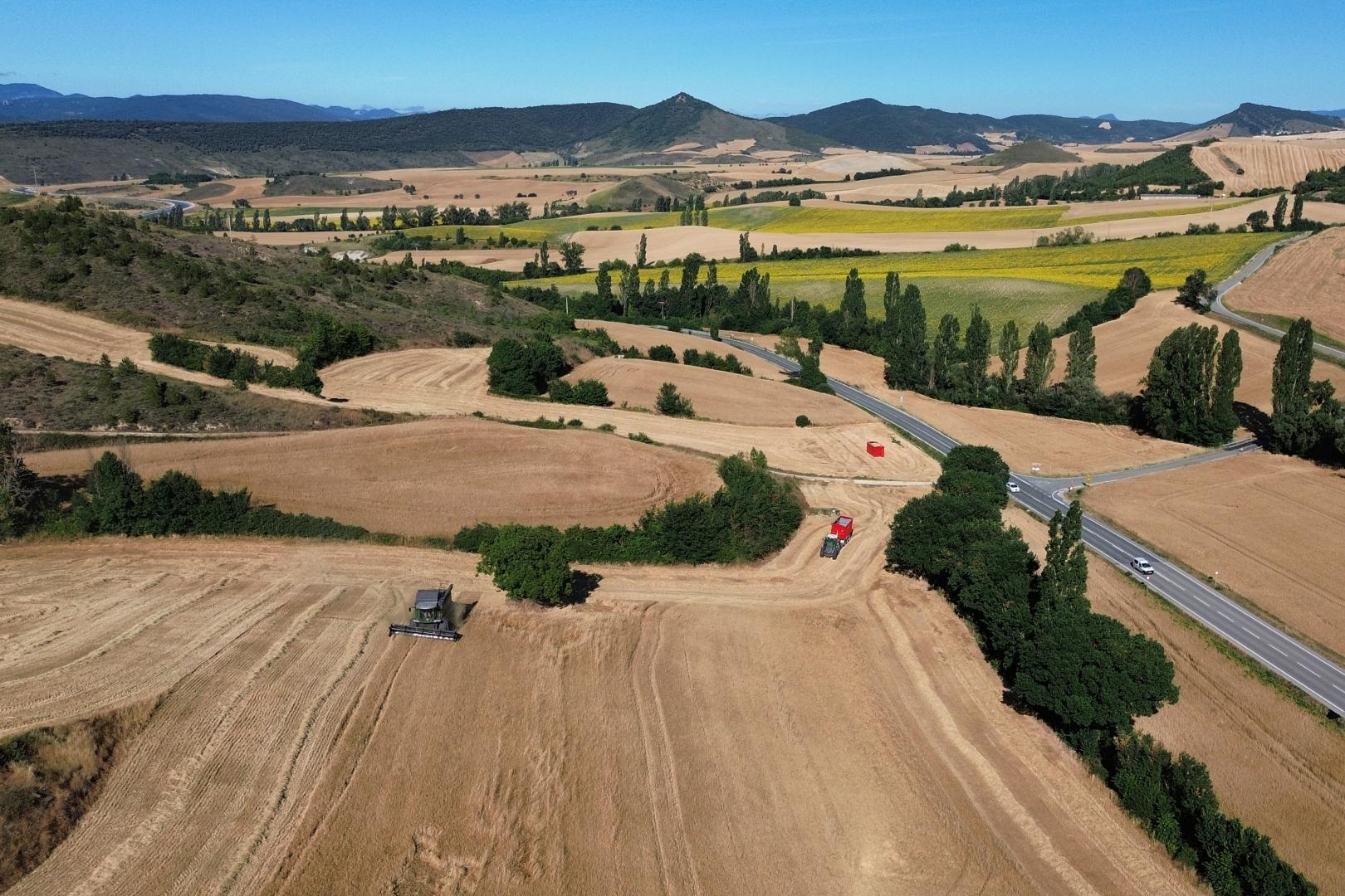 Vista tomada con un dron de una cosechadora en un campo de trigo en el valle de Unciti