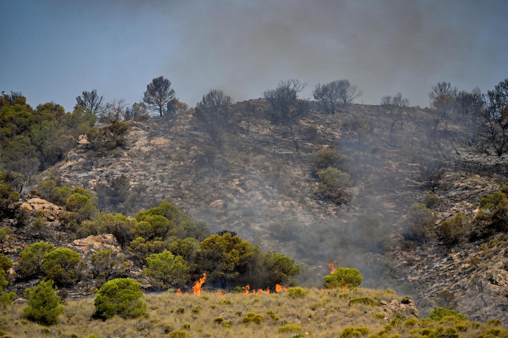 La superficie afectada por el incendio forestal originado en Los Gallardos (Almería) es, de momento, de 6.600 hectáreas