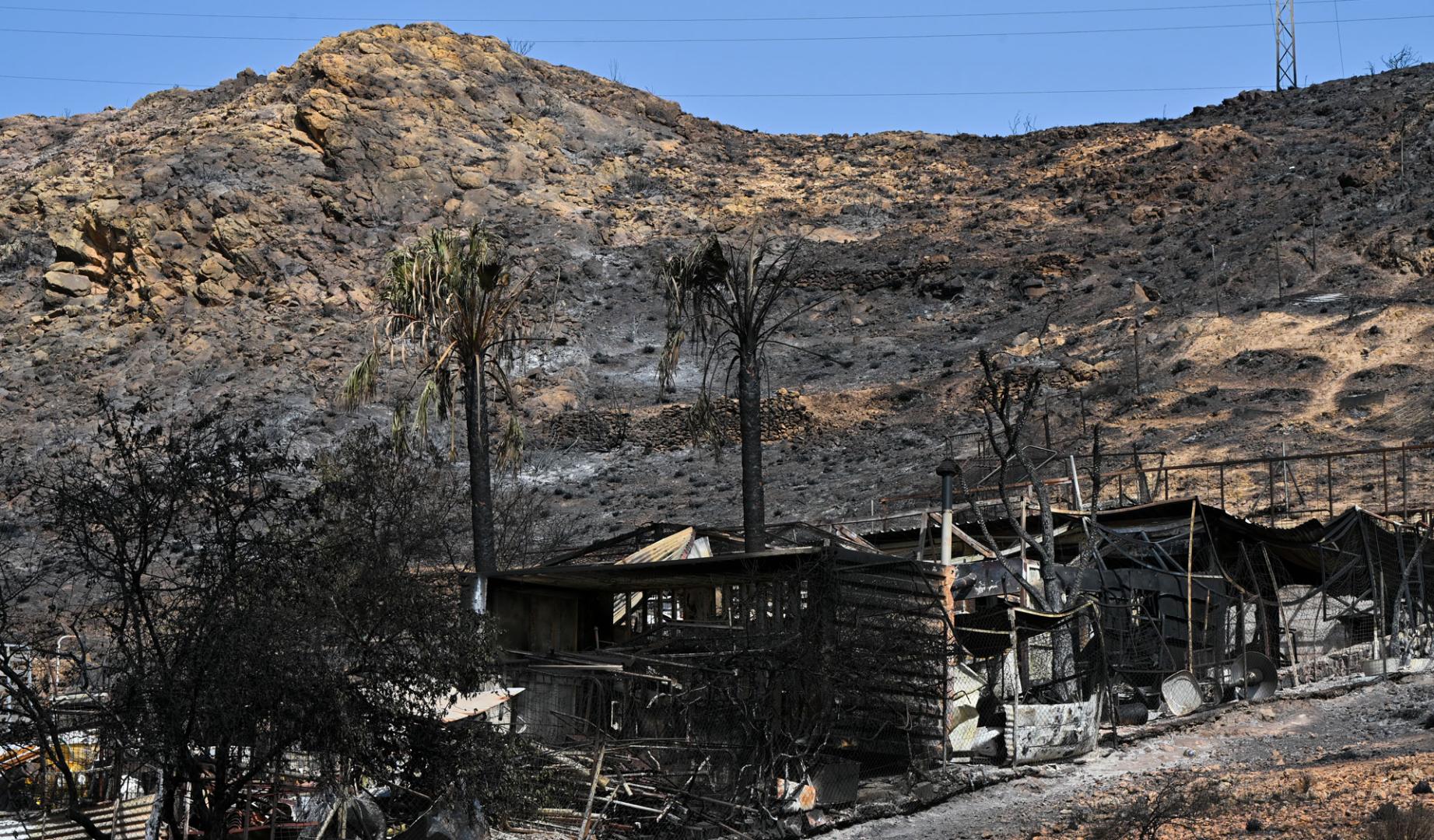 Vista del área calcinada en el municipio almeriense de Béda . La superficie afectada por el incendio forestal originado en Los Gallardos (Almería), con doce fallecidos, se ha elevado a 6.600 hectáreas