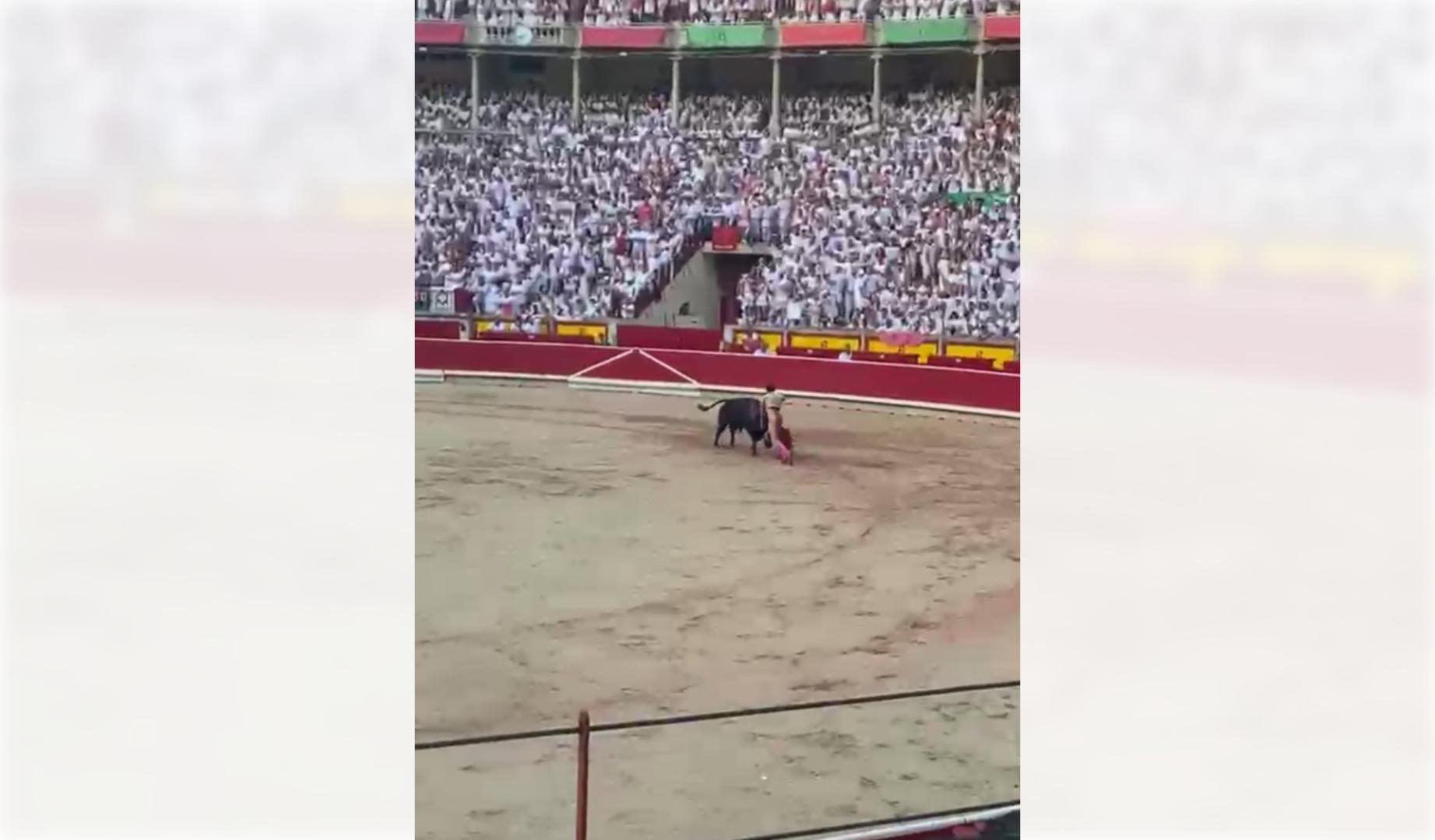 El valenciano hizo una buena maniobra al sexto toro de La Palmosilla