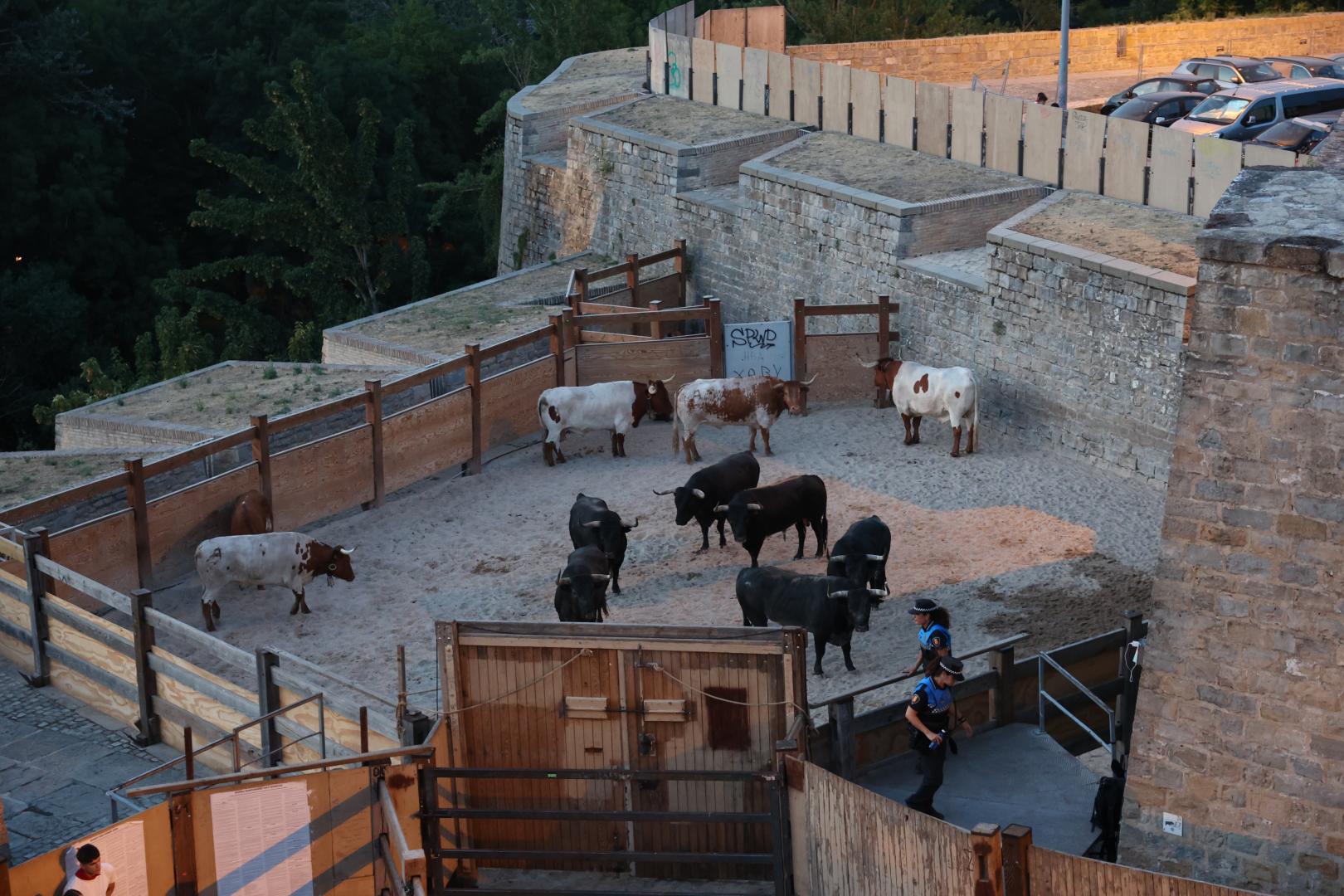 Los Miura, en los corrales.