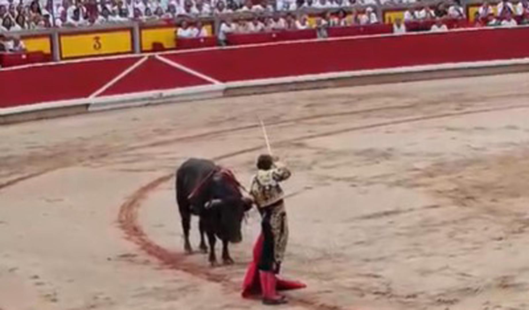 Estocada de Manuel Escribano al primer intento